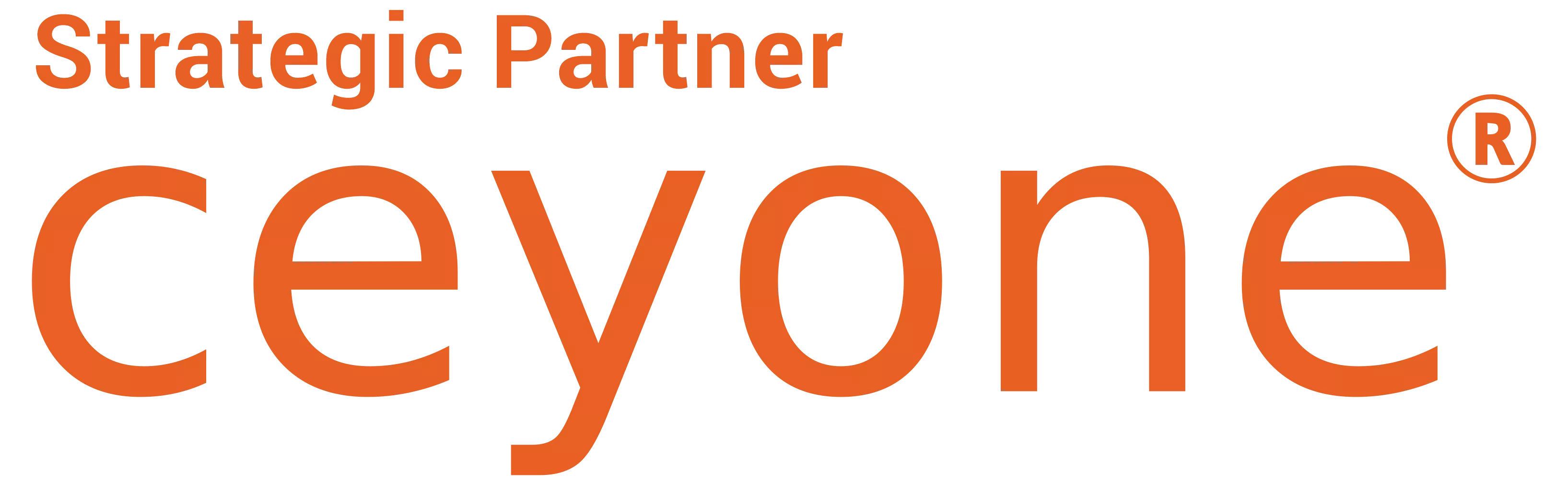 Footer partner logo